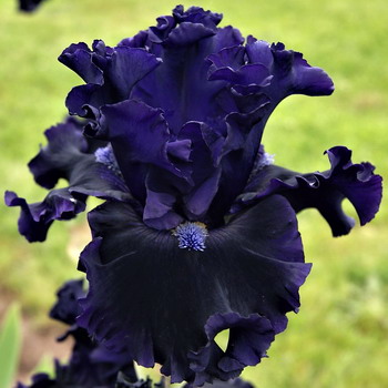 Zav��t okno